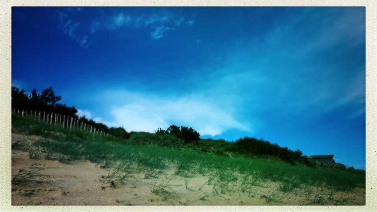 Maison Face Au Soleil Le Bois-Plage-en-Ré Zewnętrze zdjęcie