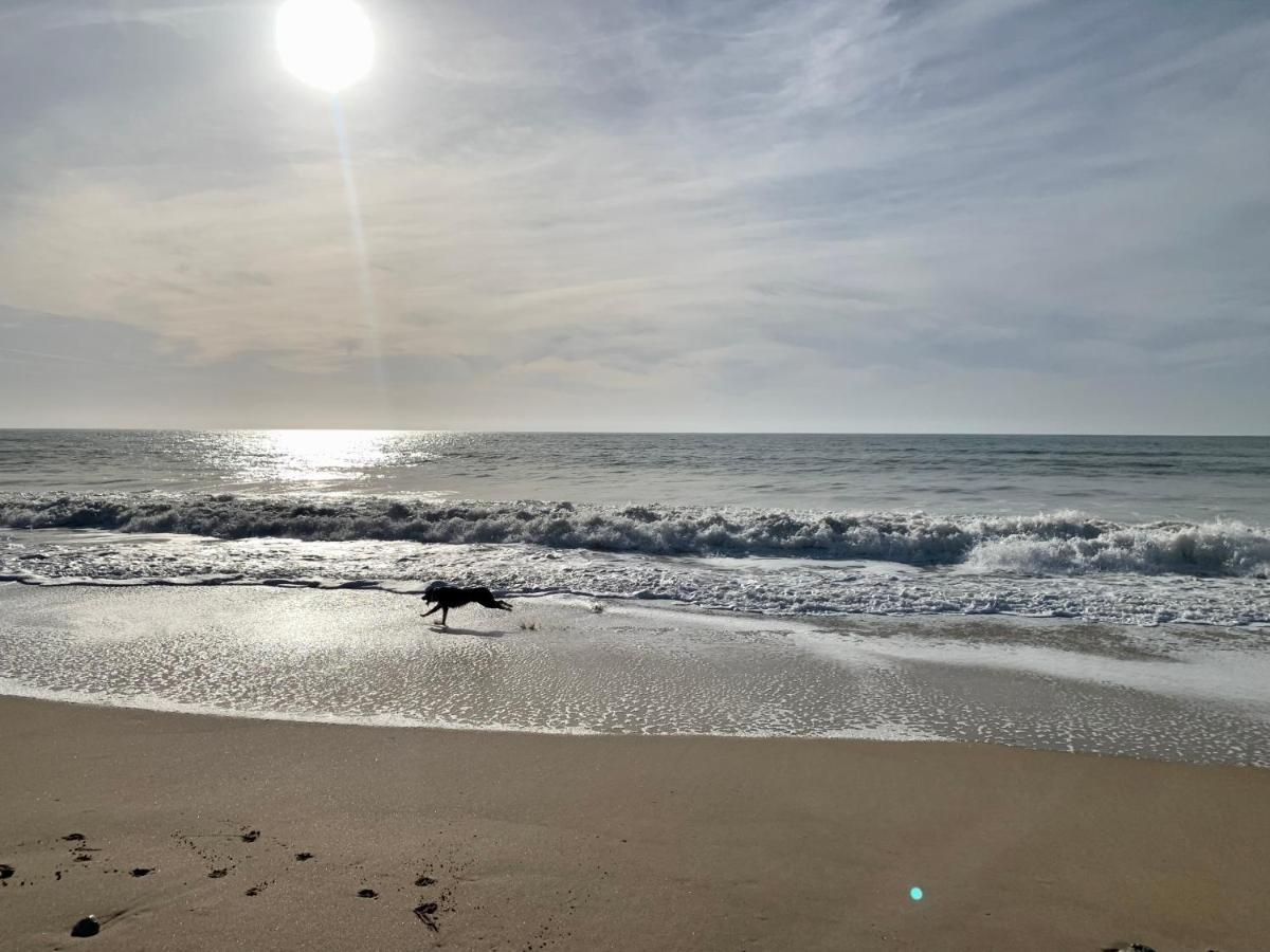 Maison Face Au Soleil Le Bois-Plage-en-Ré Zewnętrze zdjęcie