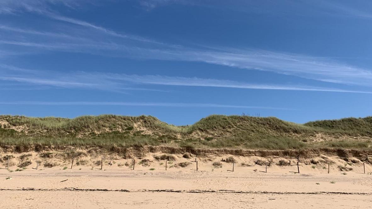 Maison Face Au Soleil Le Bois-Plage-en-Ré Zewnętrze zdjęcie